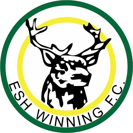 Deer emblem of Bishop Auckland FC, showcasing the club’s heritage and identity in non-league football.